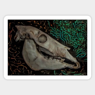 Donkey's skull Sticker